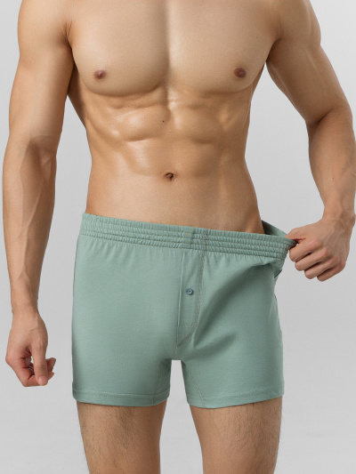 Трусы Mark Formelle 411152/25-4973Ц-0 зеленый_лед - фото 3