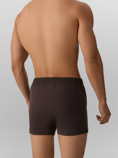 Трусы Mark Formelle 411152/25-4973Ц-0 коричневый1 - фото 4