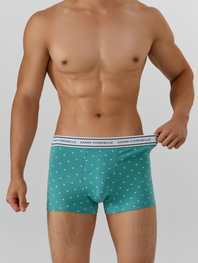 Трусы Mark Formelle 411228-2/25-5079П-5 узор_на_персидском_зеленом_черный - фото 5