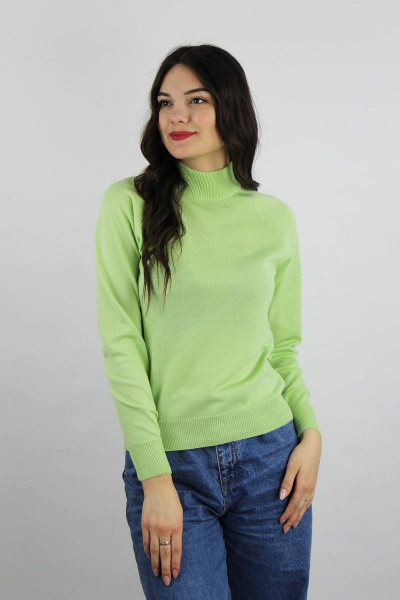 Свитер приталенный из трикотажа с длинным рукавом реглан Полесье С3316-15 5С1754-Д43 158,164 маргарита - фото 1