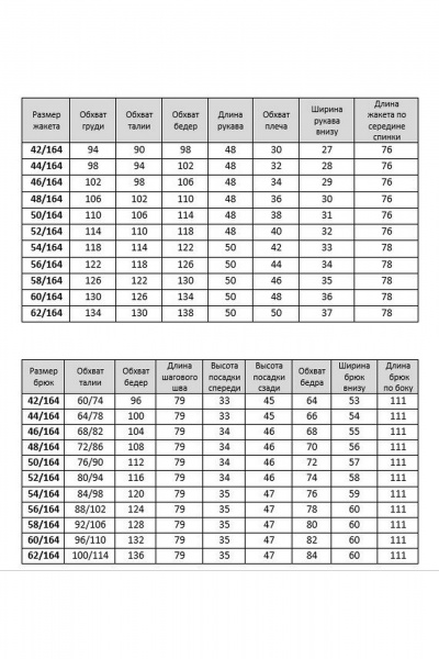 Брюки, жакет Твой имидж 2331 серый_в_полоску - фото 3