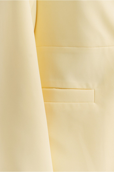 Брюки, жакет Deesses 2442 - фото 5