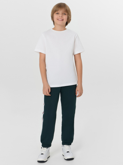 Брюки Mark Formelle 183416/25-38482Ц-7 зеленый_бархат - фото 1