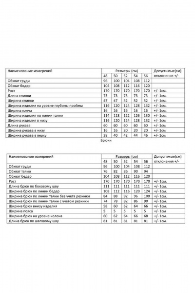 Брюки, рубашка AMUARt 1074.1 - фото 5