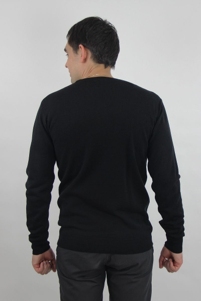 Джемпер из трикотажа черный мужской второго слоя, демисезон Полесье С5624-19 0С2011-Д43 170,176 глубокий_черный - фото 4