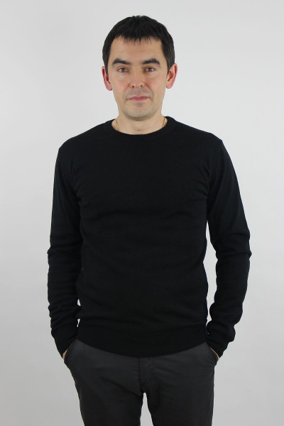 Джемпер из трикотажа черный мужской второго слоя, демисезон Полесье С5624-19 0С2011-Д43 170,176 глубокий_черный - фото 1