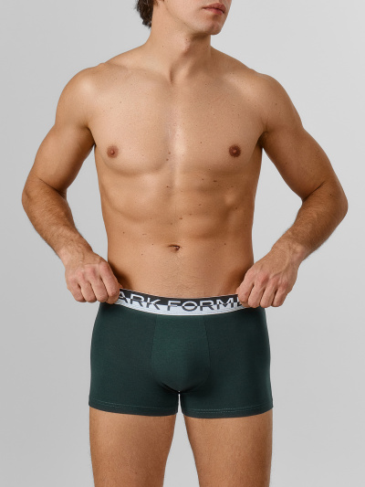 Трусы Mark Formelle 411228-3/25-5560Ц-5 зеленый_бархат_темный_кармин_черный - фото 1
