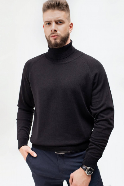 Мужской свитер прямой реглан с отложным воротником Полесье С3070-17 7С1581-Д43 170,176 глубокий_черный - фото 1
