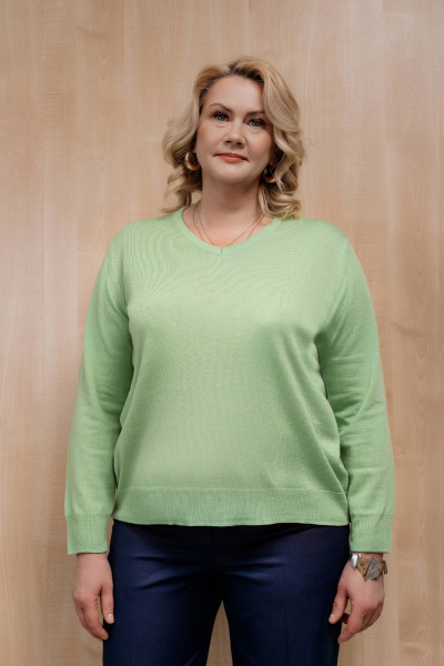 Джемпер Полесье С1366-22 2С5161-Д43 170,176 аркадия_14-0123 - фото 1