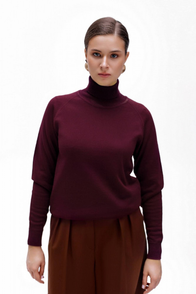 Свитер Полесье С3433-17 7С1582-Д43 170,176 зимняя_вишня - фото 1