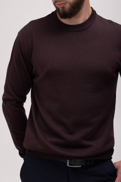 Джемпер Полесье С5481-24 5С2200-Д43 182,188 изысканный_кофейный - фото 4