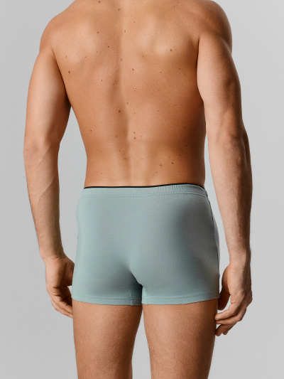 Трусы Mark Formelle 411134-2/25-5235П-5 зеленая_пастель_милитари_2_сл_1тр_на_ЛВ_дет_пер - фото 2