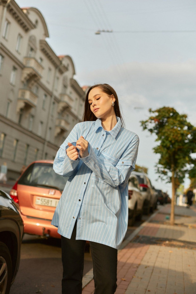 Рубашка Dorima W13.001 голубая - фото 1