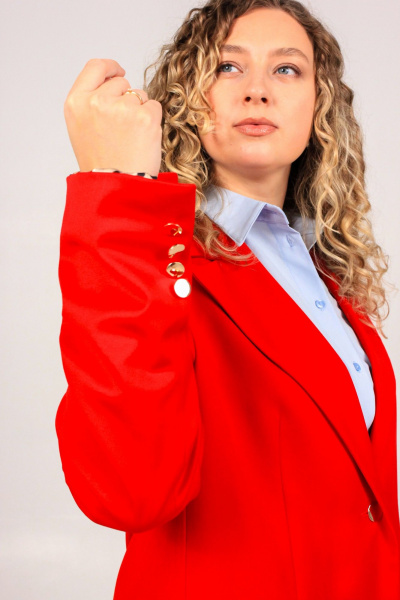 Жакет Dolce Forma GAK-BE-01-25_красный - фото 2