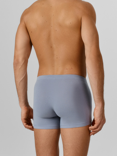 Трусы Mark Formelle 411220-2/25-5402П-5 сизый_картошка_на_затмении_3_сл_1тр_на_ЛВ_дет - фото 3