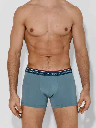 Трусы Mark Formelle 411221-4/25-5561Ц-5 полынь - фото 2