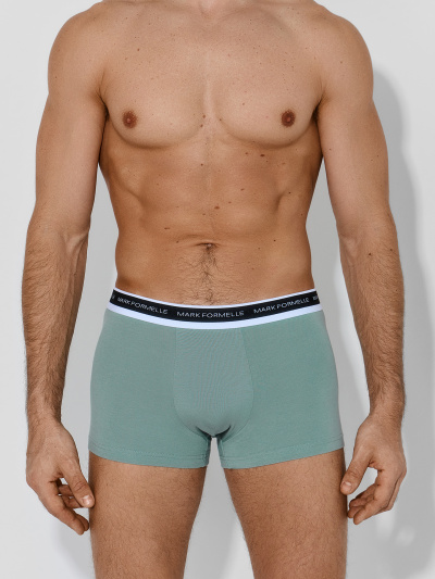 Трусы Mark Formelle 411228-3/25-5560Ц-5 зеленая_пастель_хвойный_лес_зеленый_бархат - фото 3