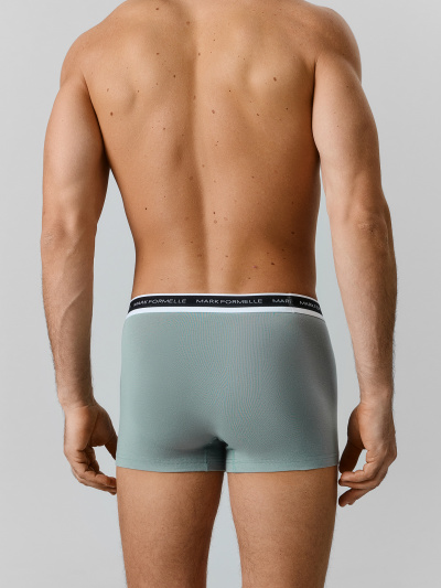 Трусы Mark Formelle 411228-3/25-5560Ц-5 зеленая_пастель_хвойный_лес_зеленый_бархат - фото 4