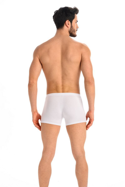 Мужские хлопковые боксеры-брифы с гульфиком, облегающие Teyli 801 белый - фото 2