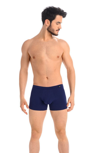 Мужские хлопковые боксеры-брифы из эластичного трикотажа Teyli 801 синий - фото 1