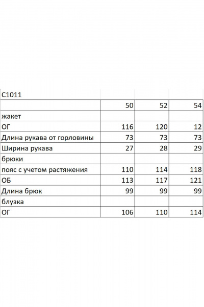 Брюки, жакет Ольга Стиль С-1011 серо-зеленый - фото 6