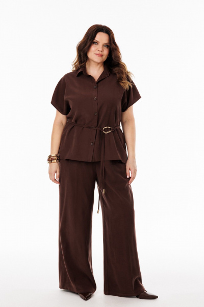 Блуза, брюки, пояс ANIDEN 61113-1 коричевый - фото 1