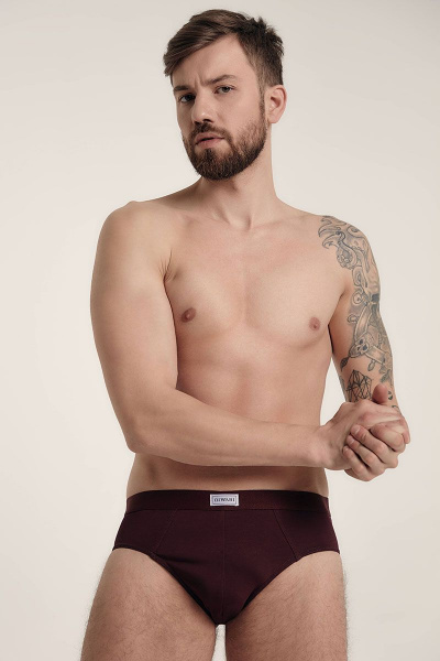 Красные мужские slip трусы из трикотажа с эластичной тесьмой CONTE DIWARI_basic_slip_701 bordo - фото 2