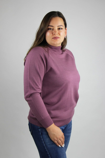Фиолетовый свитер приталенный из трикотажа с длинным рукавом реглан Полесье С3316-15 5С1754-Д43 170,176 мохер - фото 1