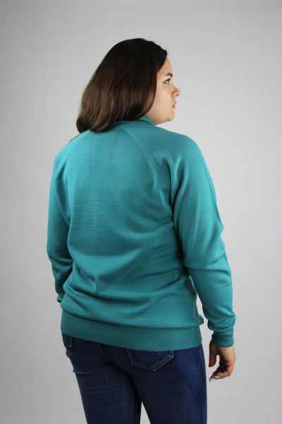 Демисезонный вязаный свитер с регланом и высоким воротником Полесье С3433-17 7С1582-Д43 158,164 луговой_ручей - фото 4