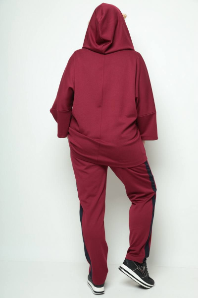 Брюки, джемпер Michel chic 1227 бордовый - фото 4