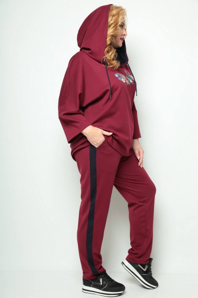 Брюки, джемпер Michel chic 1227 бордовый - фото 3