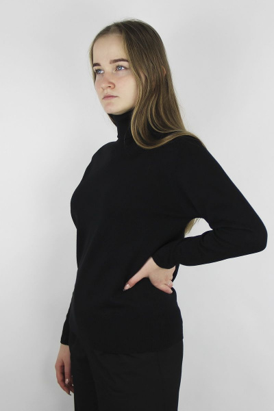 Свитер Полесье С3571-20 0С2128-Д43 158,164 глубокий_черный - фото 1