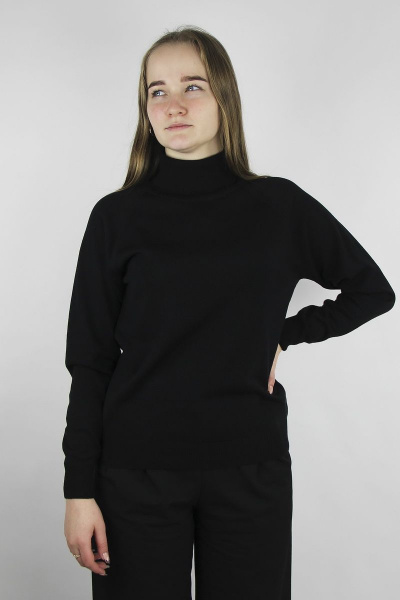 Демисезонный вязаный черный свитер с регланом Полесье С3433-17 7С1582-Д43 170,176 глубокий_черный - фото 1