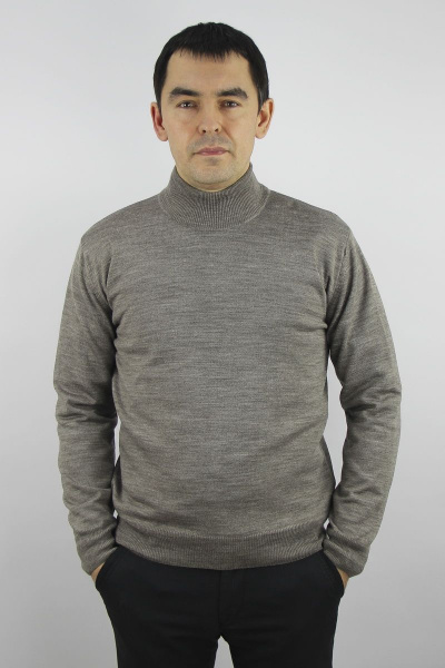 Демисезонный бежевый свитер с воротником-стойкой и регланом Полесье С3012-15 5С1749-Д43 182,188 св.дюна - фото 1