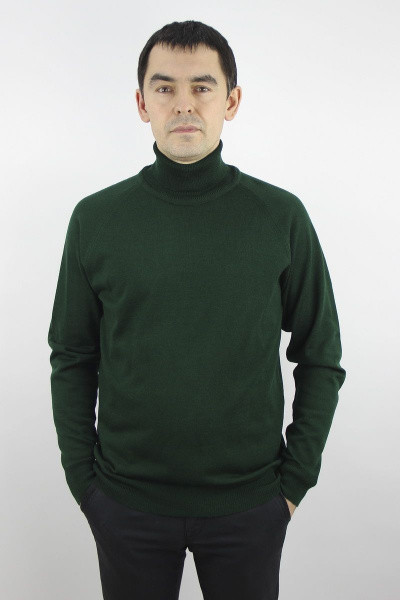 Демисезонный зеленый мужской свитер с воротником-стойкой Полесье С3070-17 7С1581-Д43 170,176 темная_зелень - фото 1