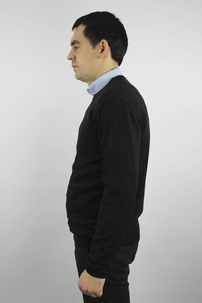 Джемпер мужской демисезонный второго слоя с коротким вырезом Полесье С5624-19 0С2011-Д43 170,176 антрацит - фото 3