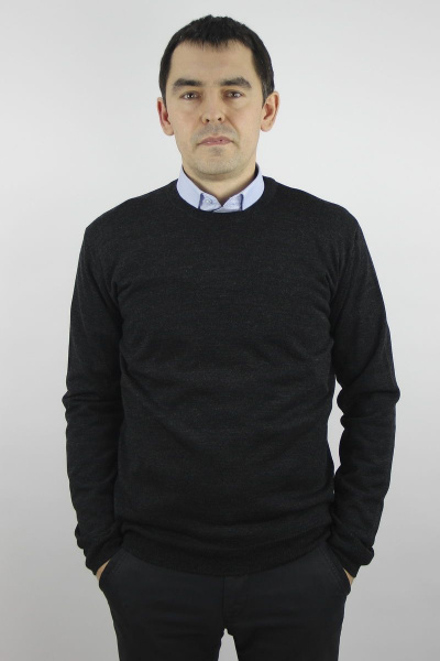 Джемпер мужской демисезонный второго слоя с коротким вырезом Полесье С5624-19 0С2011-Д43 170,176 антрацит - фото 1