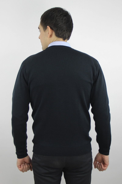 Джемпер мужской демисезонный второго слоя с коротким вырезом Полесье С5624-19 0С2011-Д43 170,176 флотский - фото 4