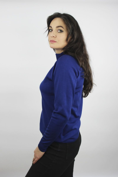 Демисезонный вязаный свитер с регланом и воротником-стойкой Полесье С3316-15 5С1754-Д43 158,164 эльдорадо - фото 3