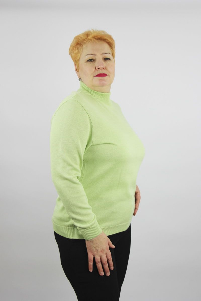 Демисезонный зеленый свитер с втачным рукавом и высокой стойкой Полесье С3632-21 1С1230-Д43 170,176 маргарита - фото 3