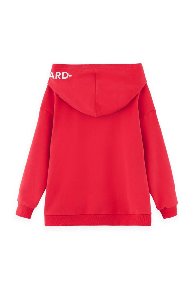 Худи для мальчиков на каждый день из трикотажа хлопка Bell Bimbo 220092 красный - фото 4