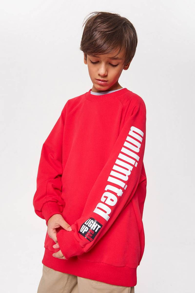 Джемпер для мальчика из трикотажа с цифровой печатью Bell Bimbo 220164 красный - фото 1