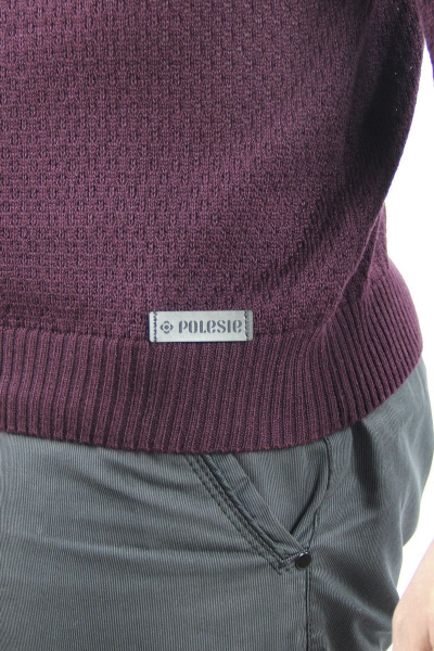 Джемпер второй слой одежды с длинным рукавом из хлопка Полесье С5679-20 1С1101-Д43 170,176 сливовый - фото 3