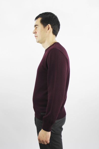 Джемпер второй слой одежды с длинным рукавом из хлопка Полесье С5679-20 1С1101-Д43 170,176 сливовый - фото 2