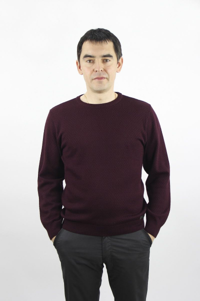 Джемпер второй слой одежды с длинным рукавом из хлопка Полесье С5679-20 1С1101-Д43 170,176 сливовый - фото 1