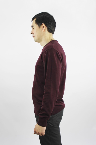 Мужской джемпер второй слой одежды с облегченным профилем Полесье С5694-21 1С1123-Д43 170,176 сливовый - фото 2