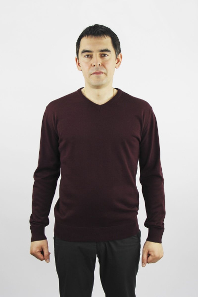 Мужской джемпер второй слой одежды с облегченным профилем Полесье С5694-21 1С1123-Д43 170,176 сливовый - фото 1