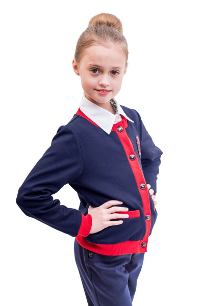 Жакет Франтишка Ш-2159-18с-70-с78 темно-синий - фото 3