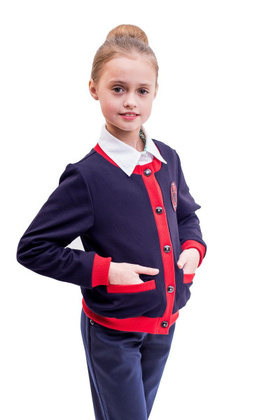 Жакет Франтишка Ш-2159-18с-70-с78 темно-синий - фото 1