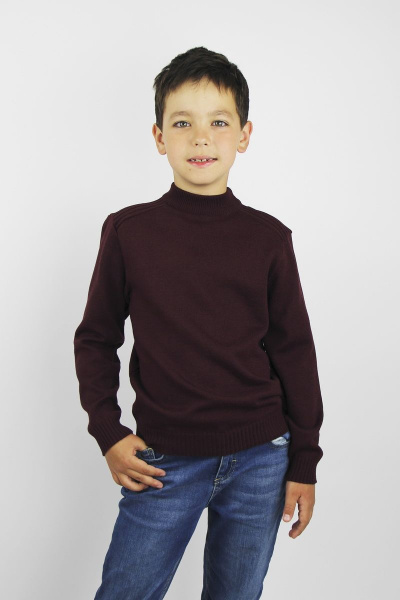 Джемпер хлопковый прямой с двойным воротником демисезонный Полесье С9088-17 8С0289-Д43 146 сливовый - фото 1